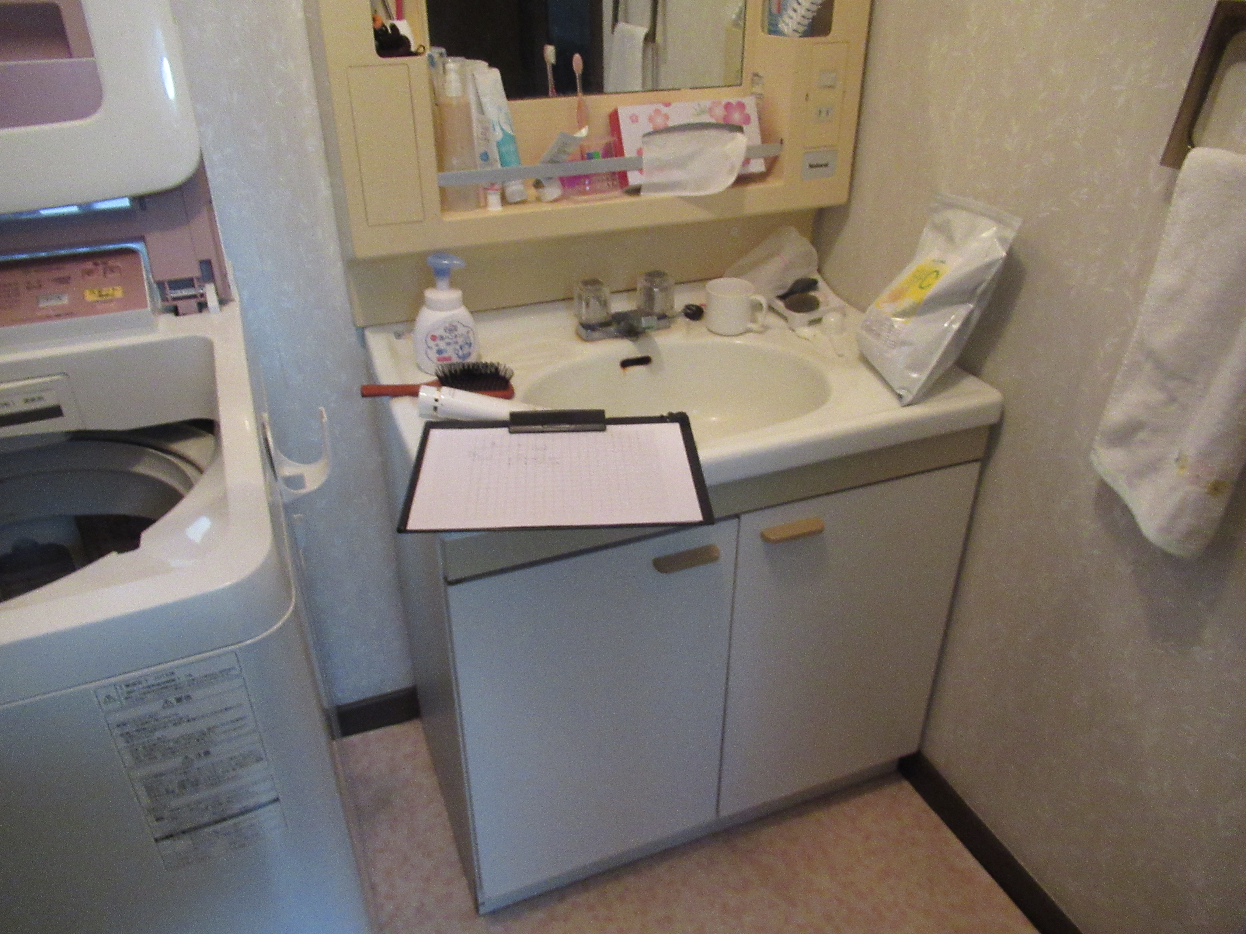 toiletmae.jpg